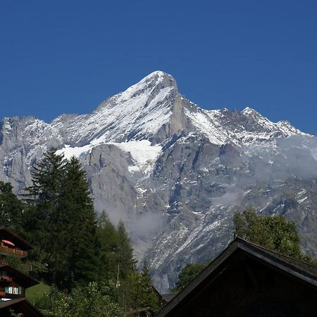 Apartment Baereggblick - Griwa Rent Ag Grindelwald Exterior foto